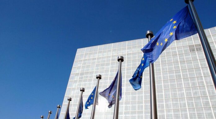 Ok a tre risoluzioni collegate a relazione annuale su attività europea