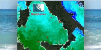 Una rete di termometri per misurare la “febbre” del Mar Mediterraneo