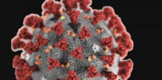 Malta, record of new COVID-19 cases since April