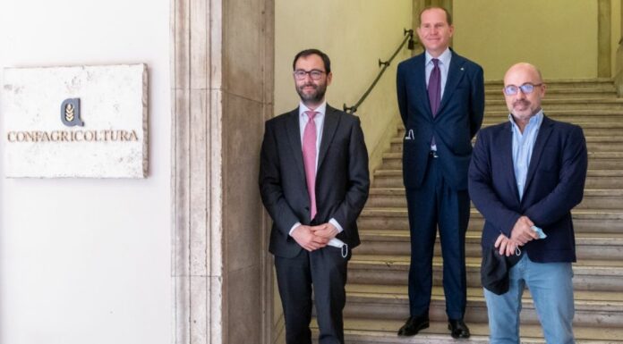 Giansanti “Piano a 10 anni per agricoltura più forte e sostenibile”