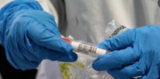 Covid, in Sardegna 43 nuovi casi e zero decessi