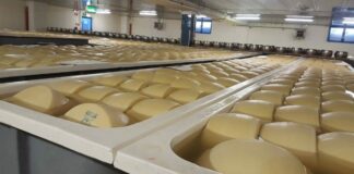 Export, volano i formaggi italiani nel mondo