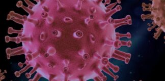 Malta, investigations into the death of 5 year old child positive COVID