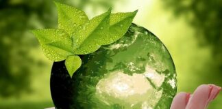 Unibo e Ieg, per transizione ecologica nasce scuola di alta formazione