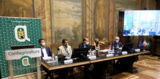 Tardelli e Mihajlovic tra i premiati del 25° Fair Play-Menarini