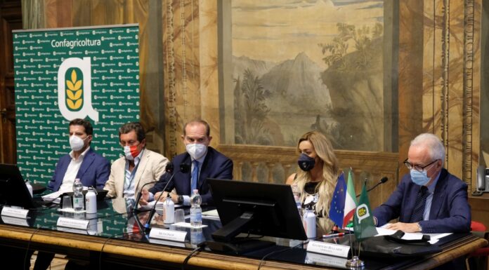 Premio Fair Play Menarini a 14 campioni nel ricordo di Paolo Rossi