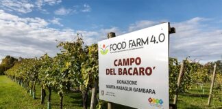 Università, a Parma prime lauree in Food safety and Risk management