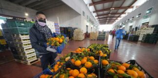 Ccnl Alimentare, presentati i nuovi corsi di formazione