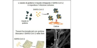 Studio Cattolica, mascherine in grafene per eliminare il Coronavirus