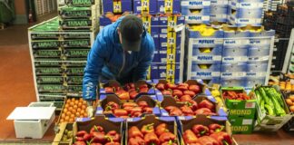 Il comparto dell’ortofrutta fresca vale 12 miliardi