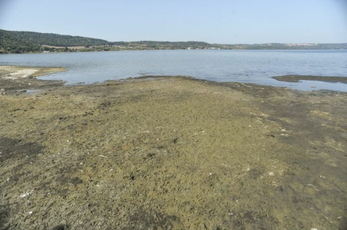 SICCITA' AL LAGO DI BRACCIANO