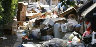 Rifiuti a Palermo, si dimette il direttore generale della Rap
