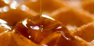 Penuria di miele in Svizzera, azzerata produzione per il maltempo