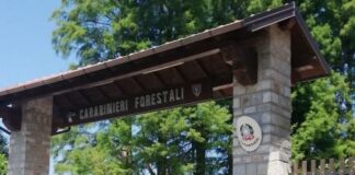 Ambiente, a Vibo Valentia la “notte bianca” della biodiversità