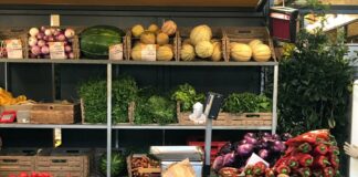 Onu, vertice Sistemi Alimentari rende omaggio a imprenditrici agricole