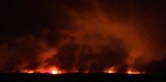 Incendi in Sardegna, la Regione dichiara lo stato di emergenza