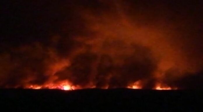 Incendi in Sardegna, la Regione dichiara lo stato di emergenza