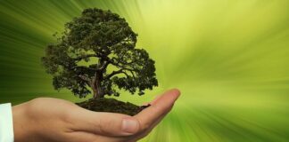 Sostenibilità al centro “Premio innovatori responsabili” in Emilia