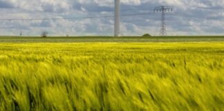 “Spighe Verdi” a 59 comuni virtuosi, in testa Piemonte