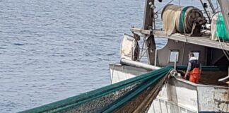 Contributi pesca Toscana, velocizzata procedura graduatorie gruppi Flag