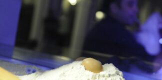 Cibo e territorio per la festa Artusiana a Forlimpopoli