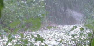 Agricoltura, dalla Regione Piemonte 3 milioni per le reti antigrandine