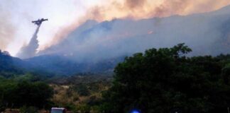 Incendi, Sicilia chiede stato mobilitazione Protezione civile al Governo