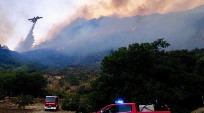 Incendi, Sicilia chiede stato mobilitazione Protezione civile al Governo