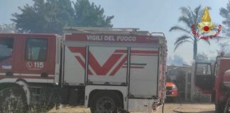 Incendi, Conapo “Regione Sicilia snobba vigili del fuoco e poi piange”