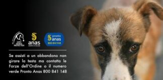 Anas e Lndc contro abbandono animali e randagismo