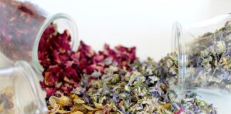 Come diventare naturopata naturopata