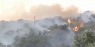 Incendi Sardegna, Donato “Chiedere fondo solidarietà Ue”