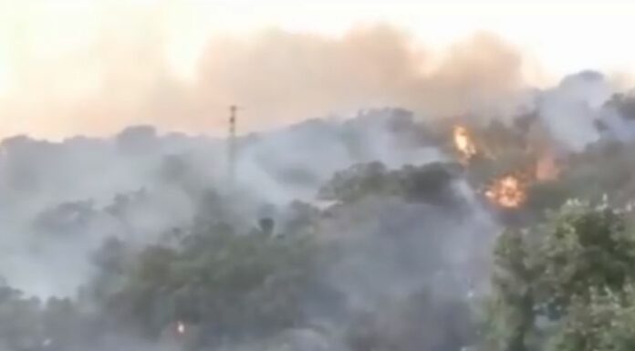 Incendi Sardegna, Donato “Chiedere fondo solidarietà Ue”