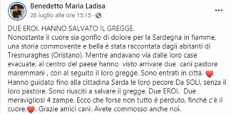 Incendi Sardegna, successo social per il post sui due cani che salvano il gregge