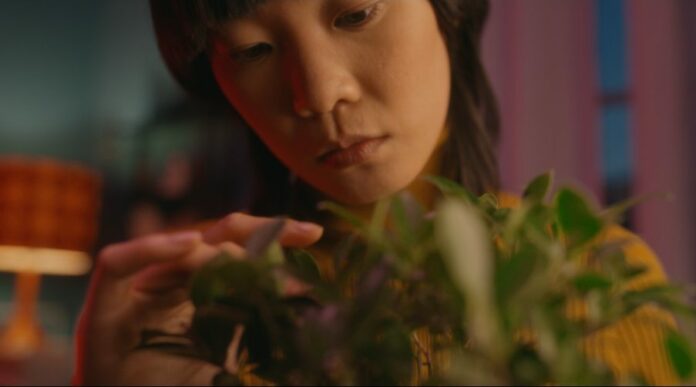 ragazza che taglia il bonsai