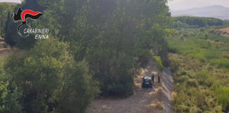 Incendi, allevatori appiccano fuoco sui Nebrodi. Arrestati due piromani