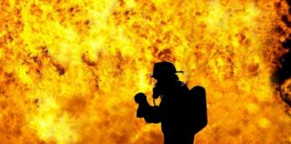 Incendi, Wwf “Terra piegata da crisi climatica e distruzione ecosistemi”