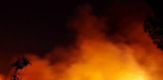 Incendi,comandante carabinieri forestali”Contro piromani con satelliti”