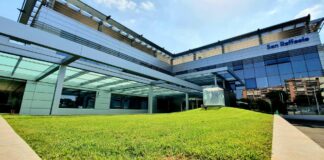 Un anticorpo monoclonale dimezza l’emicrania nei pazienti cronici