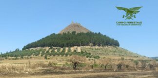 Incendi, Regione Sardegna stanzia 20 mln per interventi immediati