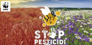 Pesticidi anti zanzare, Wwf “A rischio salute cittadini e impollinatori”