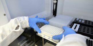 Armare il sistema immunitario per combattere i tumori del sangue