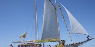 Mala depurazione e scarichi illegali nemici di mari e laghi