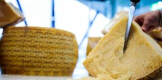 Grana Padano, cammino di solidarietà sulla Francigena