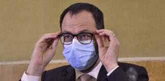 Incendi, Patuanelli “Introdurre il servizio civile ambientale”