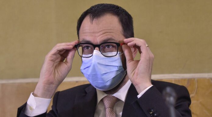 Incendi, Patuanelli “Introdurre il servizio civile ambientale”