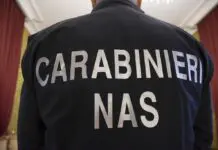 Blitz dei Nas in pasticcerie di Palermo, sequestrati 2 quintali di dolci pasquali