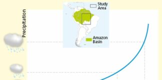 Amazzonia, la deforestazione riduce le piogge