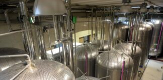 Prosecco DOC, quantità in calo, qualità buona