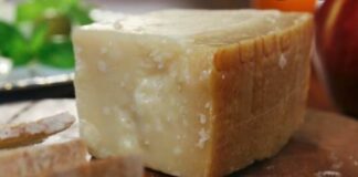 Cresce la rete dei musei del gusto e del mondo rurale in Emilia Romagna